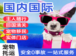 莫高机场快递国际宠物托运 【国
